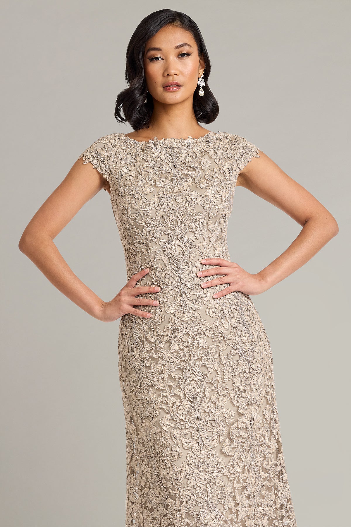 Hoyt Lotus Embroidered Tulle Gown-PUMIC Crop