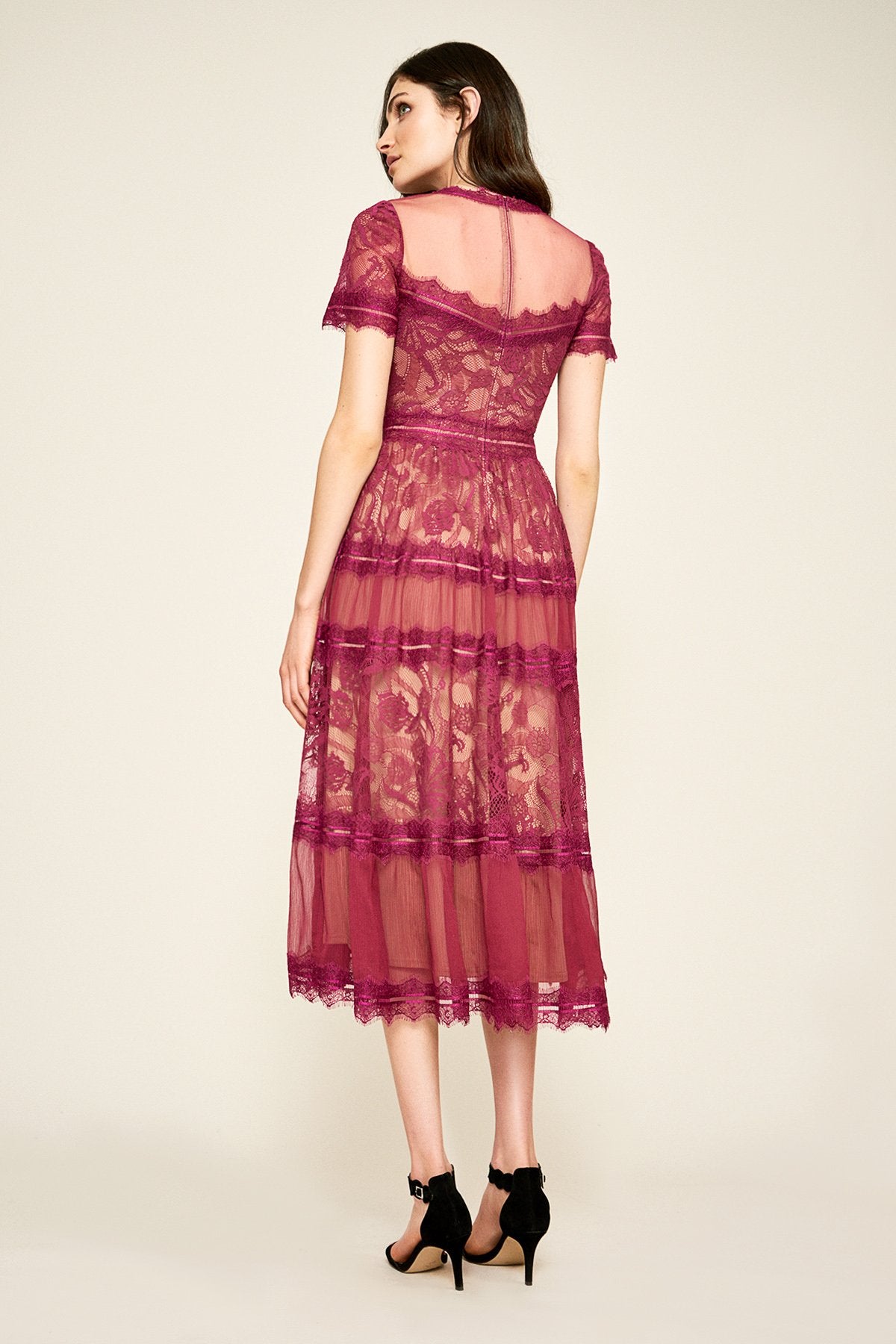 Lace V-Neck Gown with Pintuck Jersey Piping – Tadashi Shoji Official Online  Boutique