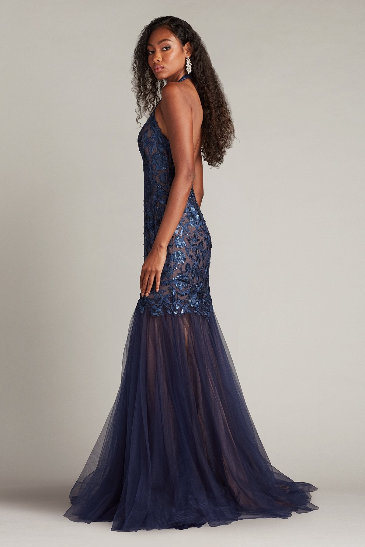 Evaine Sequin Embroidered Tulle Gown